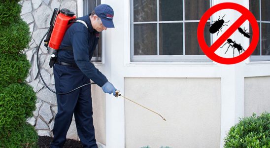 Muratlı Böcek ve Haşere İlaçlama böcek ilaçlama ve haşere kontrolü — ilaclama-tr.com